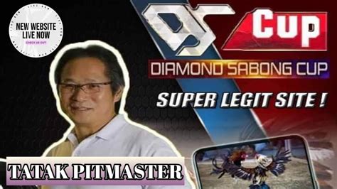 diamond sabong cup